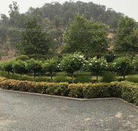 Guinevere - Accommodation Yamba