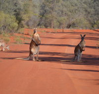Gundabooka National Park Cottages - Accommodation Yamba