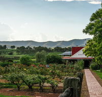 Hanging Tree Wines - Accommodation Yamba