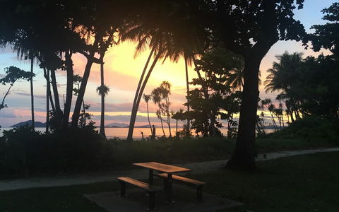 Jackaroo Treehouse Mission Beach - Accommodation Yamba 3