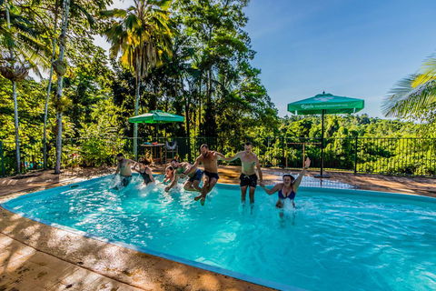 Jackaroo Treehouse Mission Beach - Accommodation Yamba 1