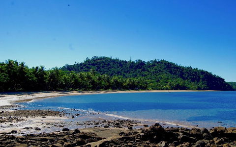 Jackaroo Treehouse Mission Beach - Accommodation Yamba 2