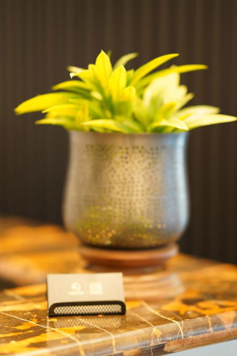 Jephson Hotel & Apartments - Accommodation Yamba 3