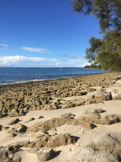 Jervis Bay Magic Vincentia South Coast - Accommodation Yamba 0