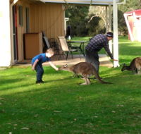 Kalgan River Chalets and Caravan Park - Accommodation Yamba