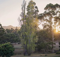 Karribank and the Karri On Bar - Accommodation Yamba