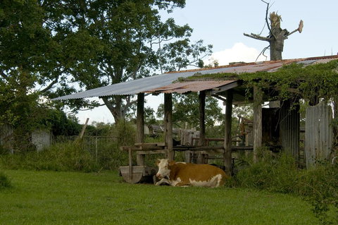 Lagoon Pocket Bed & Breakfast - Accommodation Yamba 3