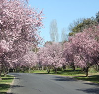 Leo's Rest Bathurst NSW - Accommodation Yamba