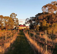 Lillicur Vineyard BB - Accommodation Yamba