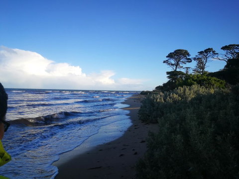 Lily Family - Accommodation Yamba 2