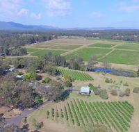 McCaffrey's Estate - Accommodation Yamba