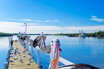 Moby Dick Waterfront Resort Motel with Accommodation Yamba