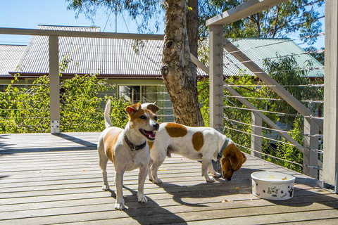 Monigatti - Accommodation Yamba 3