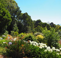 Murrindindi - Accommodation Yamba