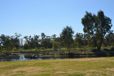 Murrord Wetlands - Accommodation Yamba 2