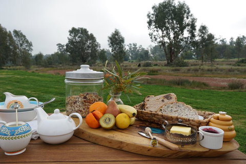 Murrord Wetlands - Accommodation Yamba 1