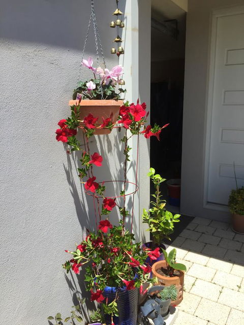 Lakeside Views - Accommodation Yamba 5
