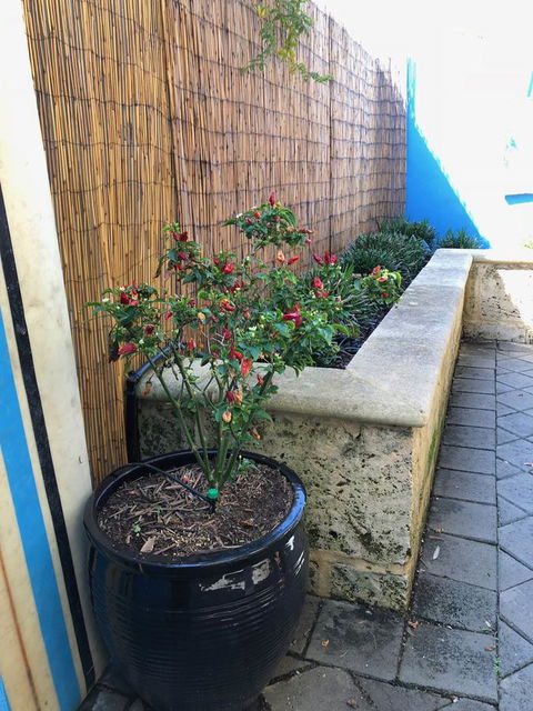 BeachHideaway@Scarborough - Accommodation Yamba 33