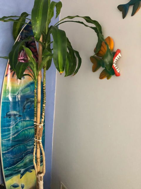 BeachHideaway@Scarborough - Accommodation Yamba 28
