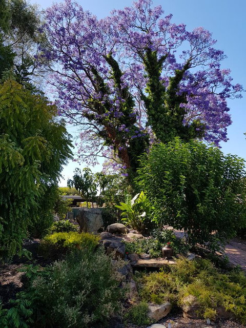 Jacaranda Hideaway Bed & Breakfast - Accommodation Yamba 10