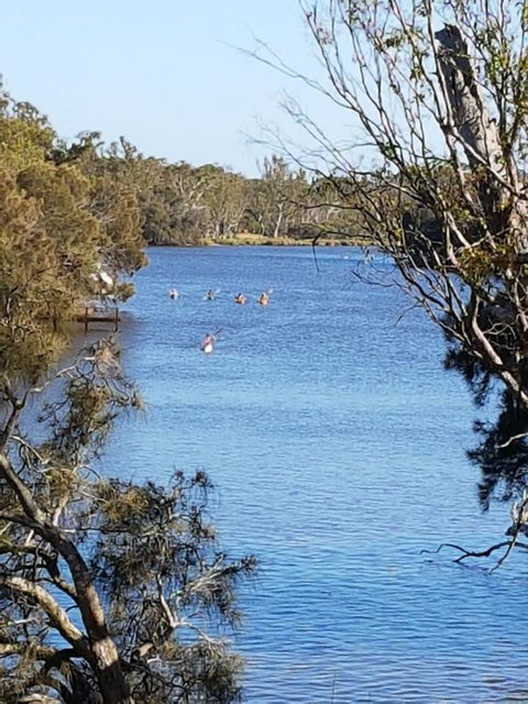 Jacaranda Hideaway Bed & Breakfast - Accommodation Yamba 19