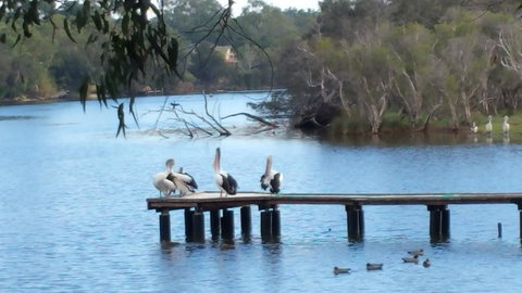 Jacaranda Hideaway Bed & Breakfast - Accommodation Yamba 18