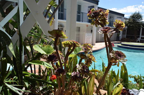 Seashore Memories - Sleeps 3 - Accommodation Yamba 14