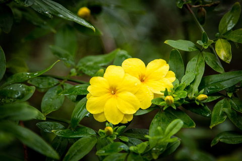 Riverglen Chalets - Accommodation Yamba 44