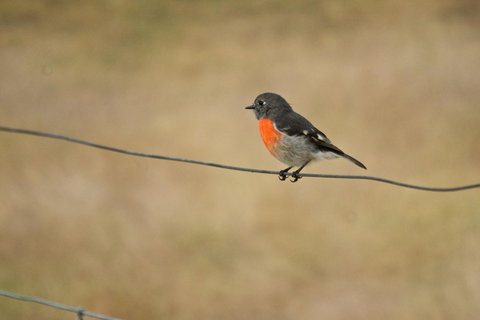 Riverglen Chalets - Accommodation Yamba 43