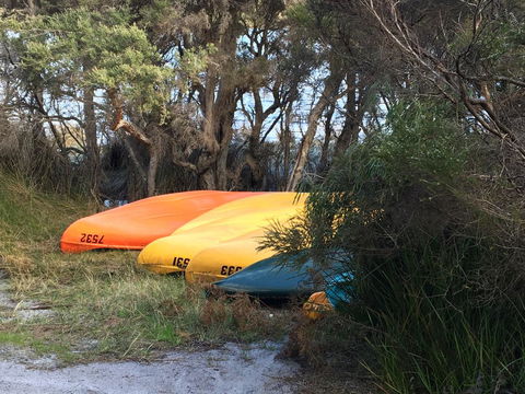 Riverside Retreat Chalets, Walpole - Accommodation Yamba 20