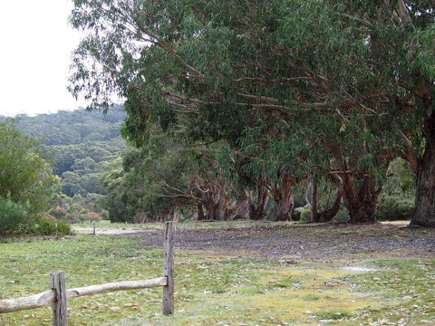 Riverside Retreat Chalets, Walpole - Accommodation Yamba 17