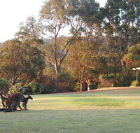 Riverside Retreat Chalets Walpole - Accommodation Yamba