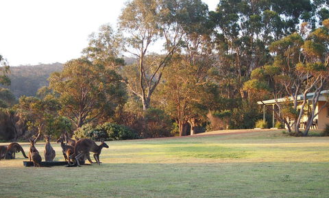 Riverside Retreat Chalets, Walpole - Accommodation Yamba 0
