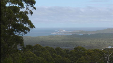 Riverside Retreat Chalets, Walpole - Accommodation Yamba 30
