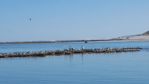 Kalbarri Seaview Villas - Accommodation Yamba 33