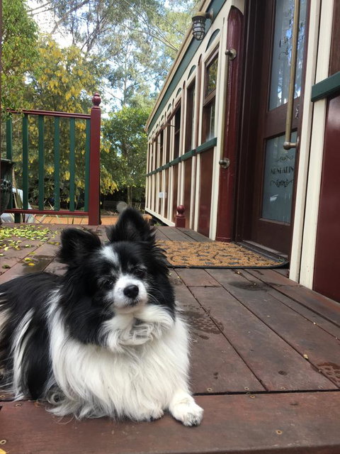 Quiet Escapes Cottages - Accommodation Yamba 15