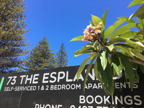 Esperance Central Accommodation - Accommodation Yamba 2