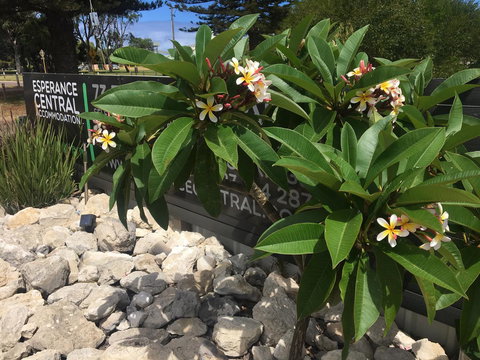 Esperance Central Accommodation - Accommodation Yamba 3