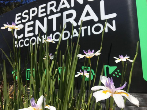 Esperance Central Accommodation - Accommodation Yamba 0