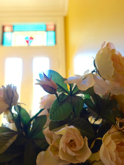 The Blacksmiths Cottage - Accommodation Yamba 16