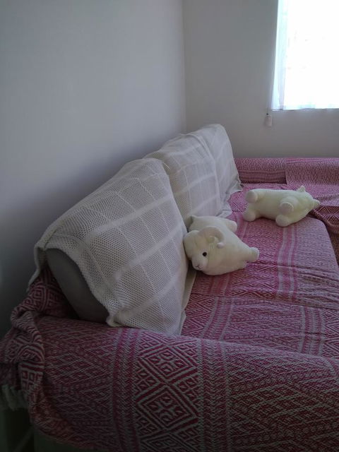 DIANELLA Budget Rooms Happy Place To Stay - Accommodation Yamba 29