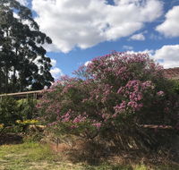 Cockburn Retreat Home  - Accommodation Yamba