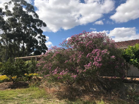 Cockburn Retreat Home æŸæ–¯æ‚ é–’æ°‘å®¿ - Accommodation Yamba 0