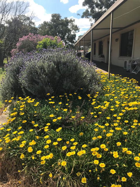 Cockburn Retreat Home æŸæ–¯æ‚ é–’æ°‘å®¿ - Accommodation Yamba 3