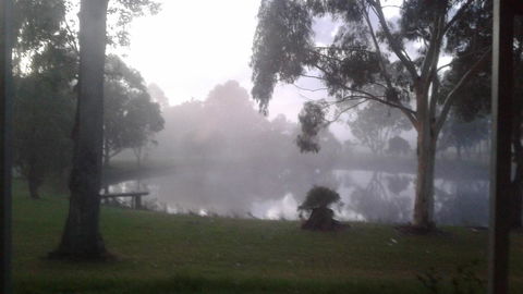 Abbivale Farm Cottage - Accommodation Yamba 18