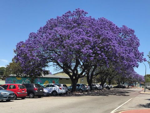 Gerring Court With Free 1 Car Bay Parking - Accommodation Yamba 20