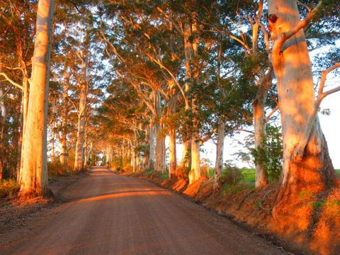 Innisfree Mountain Retreat - Accommodation Yamba 10