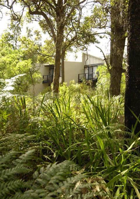 Margarets Forest - Accommodation Yamba 41