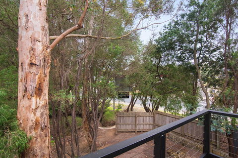Margarets Forest - Accommodation Yamba 12