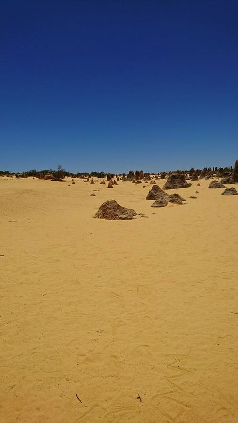 The Bothy Lancelin Family Retreat - Accommodation Yamba 35